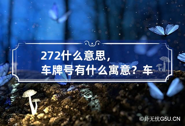 272什么意思，车牌号有什么寓意？ 车牌号2727好不好