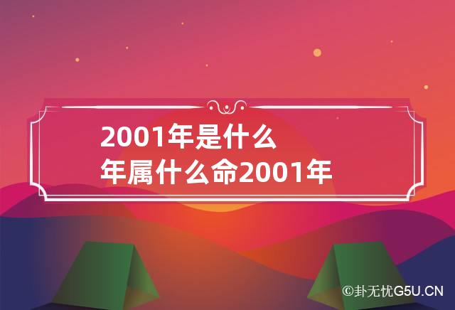 2001年是什么年属什么命 2001年属蛇命