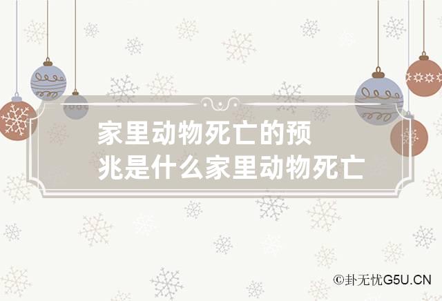 家里动物死亡的预兆是什么 家里动物死亡的预兆是什么样的