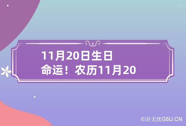 11月20日生日命运！ 农历11月20日出生的人命运