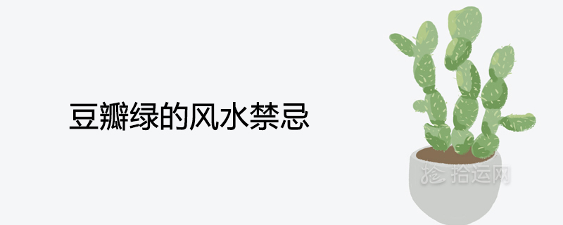 豆瓣绿的风水禁忌