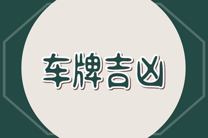 选车牌号有什么技巧 选豹子号攻略