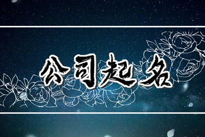 最吉祥的公司名字大全两个字  用寓意发展前景好的字