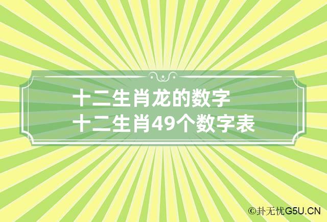 十二生肖龙的数字 十二生肖49个数字表