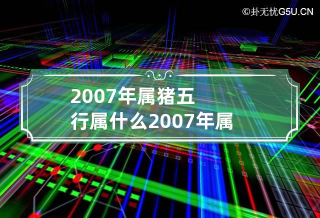 2007年属猪五行属什么 2007年属猪五行属什么火