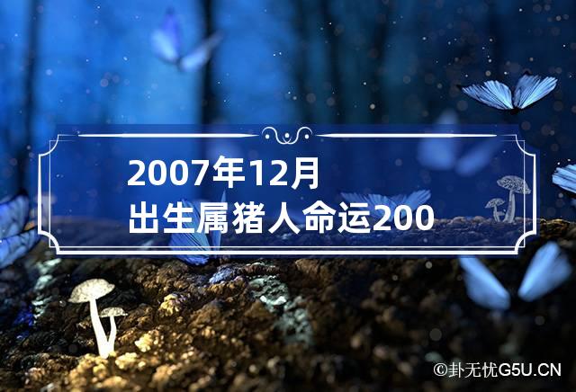 2007年12月出生属猪人命运 2007年属猪12月出生好