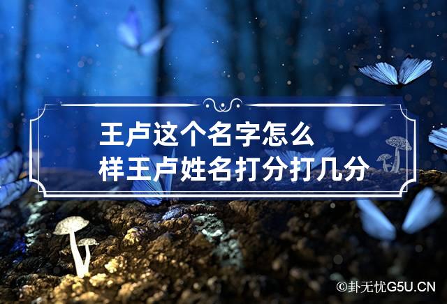 王卢这个名字怎么样 王卢姓名打分打几分