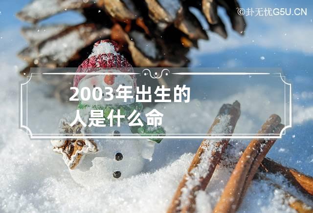 2003年出生的人是什么命