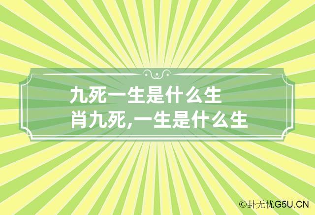 九死一生是什么生肖 九死,一生是什么生肖?