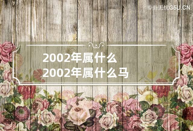 2002年属什么 2002年属什么马