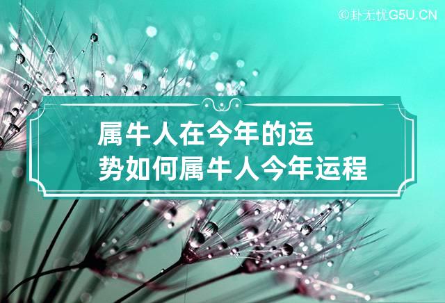 属牛人在今年的运势如何 属牛人今年运程怎么样