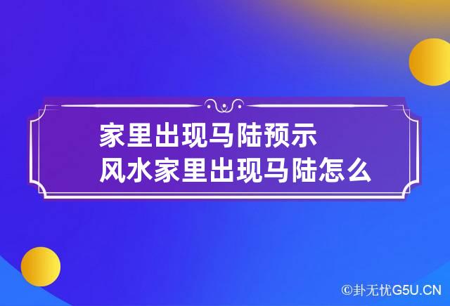 家里出现马陆预示风水 家里出现马陆怎么彻底解决