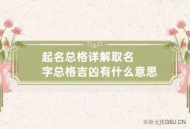 起名总格详解 取名字总格吉凶有什么意思