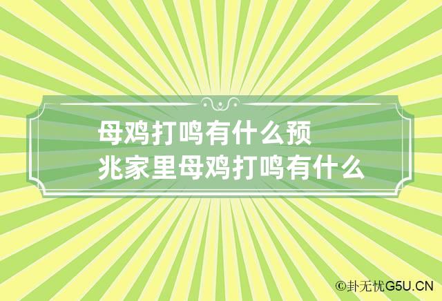 母鸡打鸣有什么预兆 家里母鸡打鸣有什么预兆