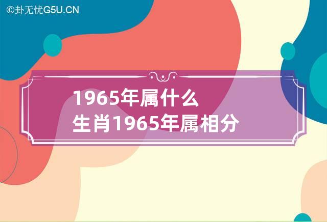 1965年属什么生肖?1965年属相分析