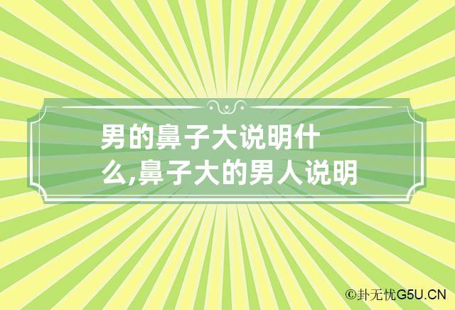 男的鼻子大说明什么,鼻子大的男人说明什么