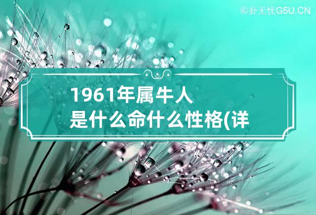 1961年属牛人是什么命什么性格(详解) 1961年属牛的是什么性格