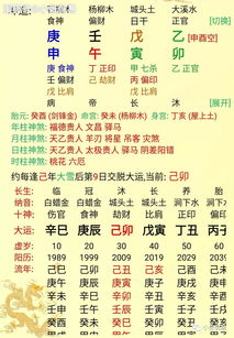 八字日时卯辰穿