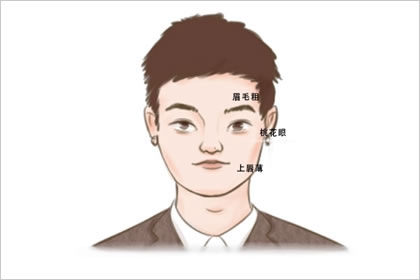 鼻子尖的男人面相一生运势怎么样