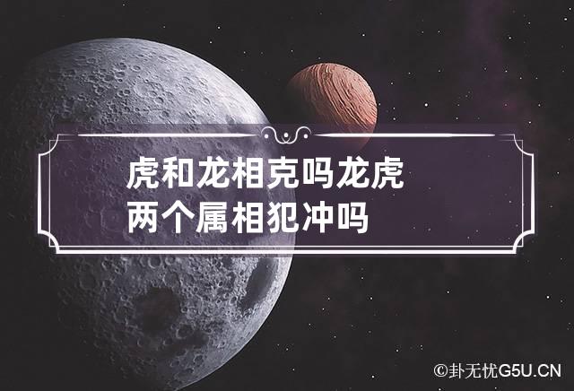 虎和龙相克吗 龙虎两个属相犯冲吗