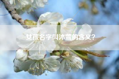 女孩名字叫沐萱的含义？