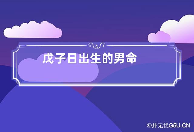 戊子日出生的男命