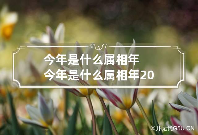 今年是什么属相年 今年是什么属相年2023