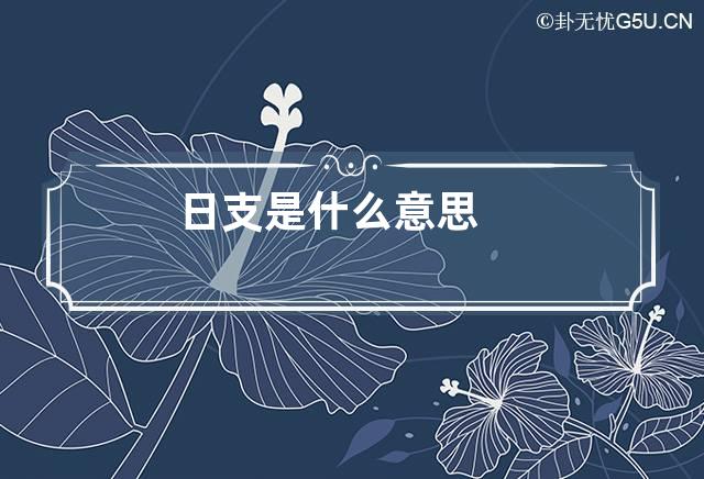 日支是什么意思