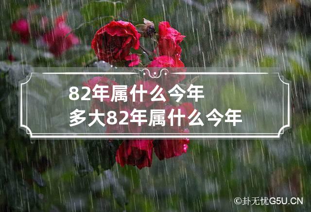 82年属什么今年多大 82年属什么今年多大岁数