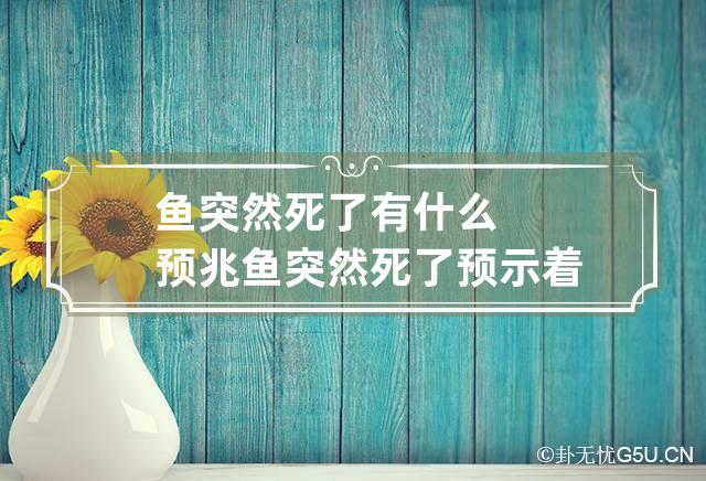 鱼突然死了有什么预兆 鱼突然死了预示着什么