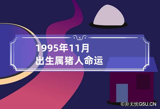 1995年11月出生属猪人命运