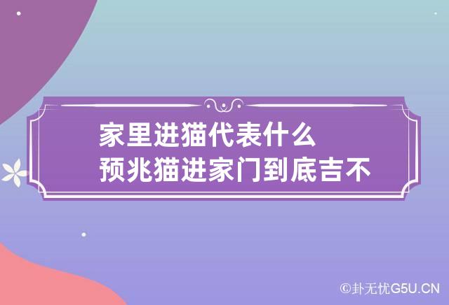 家里进猫代表什么预兆 猫进家门到底吉不吉利