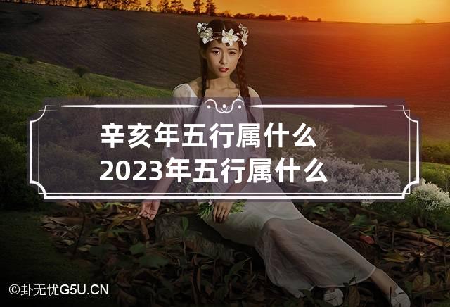 辛亥年五行属什么 2023年五行属什么,缺什么