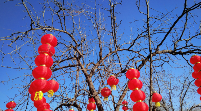 黄道吉日的执日是什么意思 执日好还是成日好