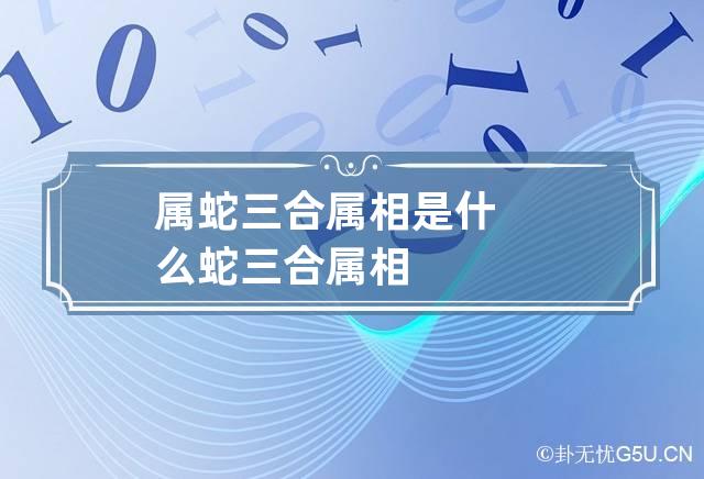 属蛇三合属相是什么 蛇 三合属相