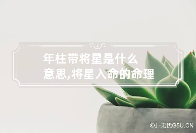 年柱带将星是什么意思,将星入命的命理特征