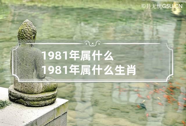 1981年属什么 1981年属什么生肖 今年多大了