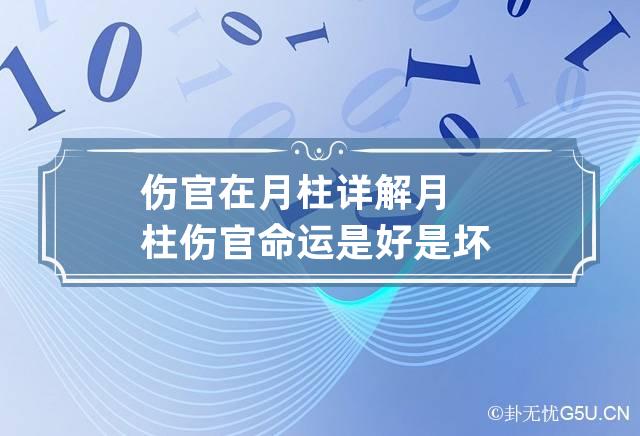 伤官在月柱详解  月柱伤官命运是好是坏