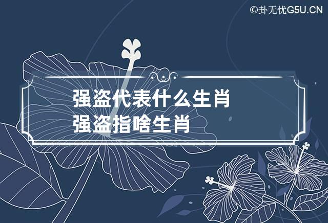 强盗代表什么生肖 强盗指啥生肖