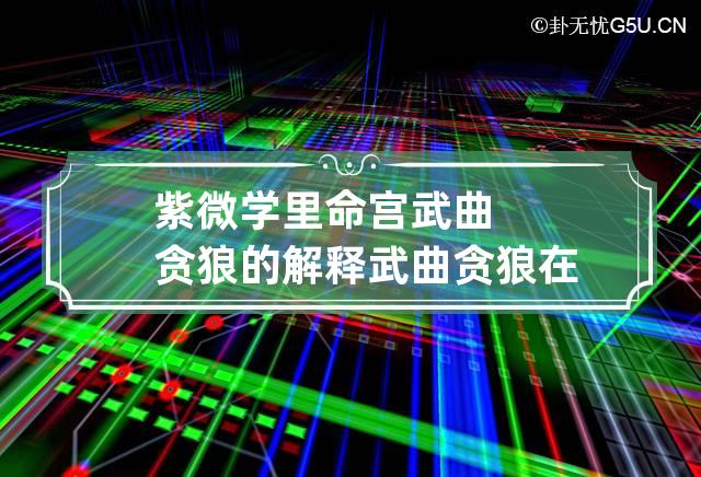 紫微学里命宫武曲贪狼的解释 武曲贪狼在命宫都嫁给什么样男人