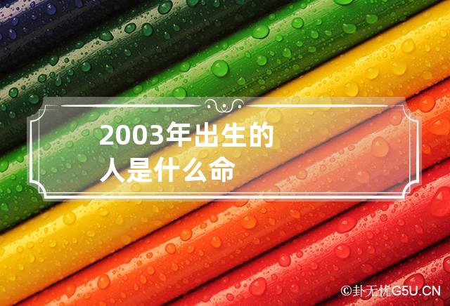 2003年出生的人是什么命