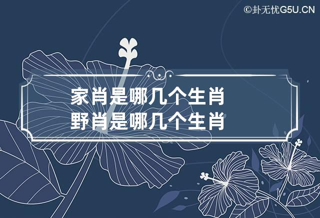 家肖是哪几个生肖 野肖是哪几个生肖