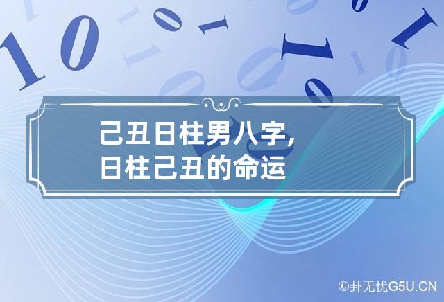 己丑日柱男八字,日柱己丑的命运