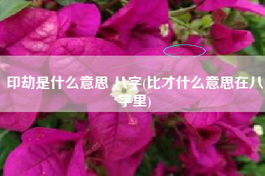 印劫是什么意思 八字(比才什么意思在八字里)