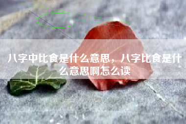 八字中比食是什么意思，八字比食是什么意思啊怎么读