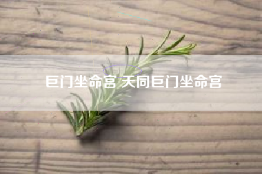 巨门坐命宫 天同巨门坐命宫