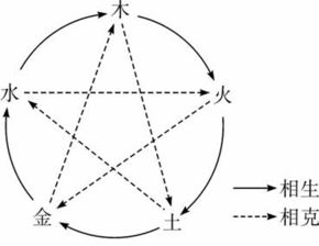 五行木和水的关系 木与水的五行关系好不好