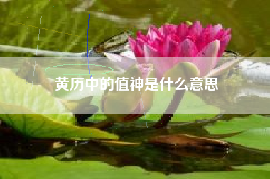 黄历中的值神是什么意思