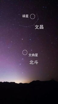 命宫主星太阳，命宫主星太阳天梁属于什么类型