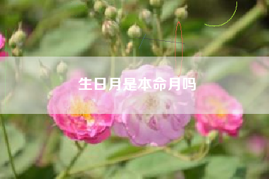 生日月是本命月吗